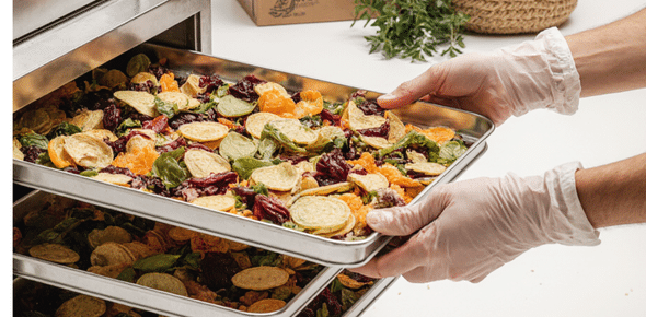 Dried Food Manufacturer in India